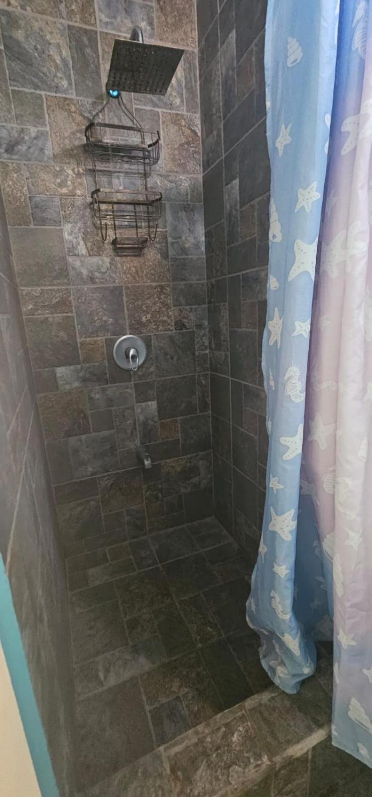 Fish Tobago Guesthouse Or Joy And Brandon Guesthouse Buccoo Bilik gambar