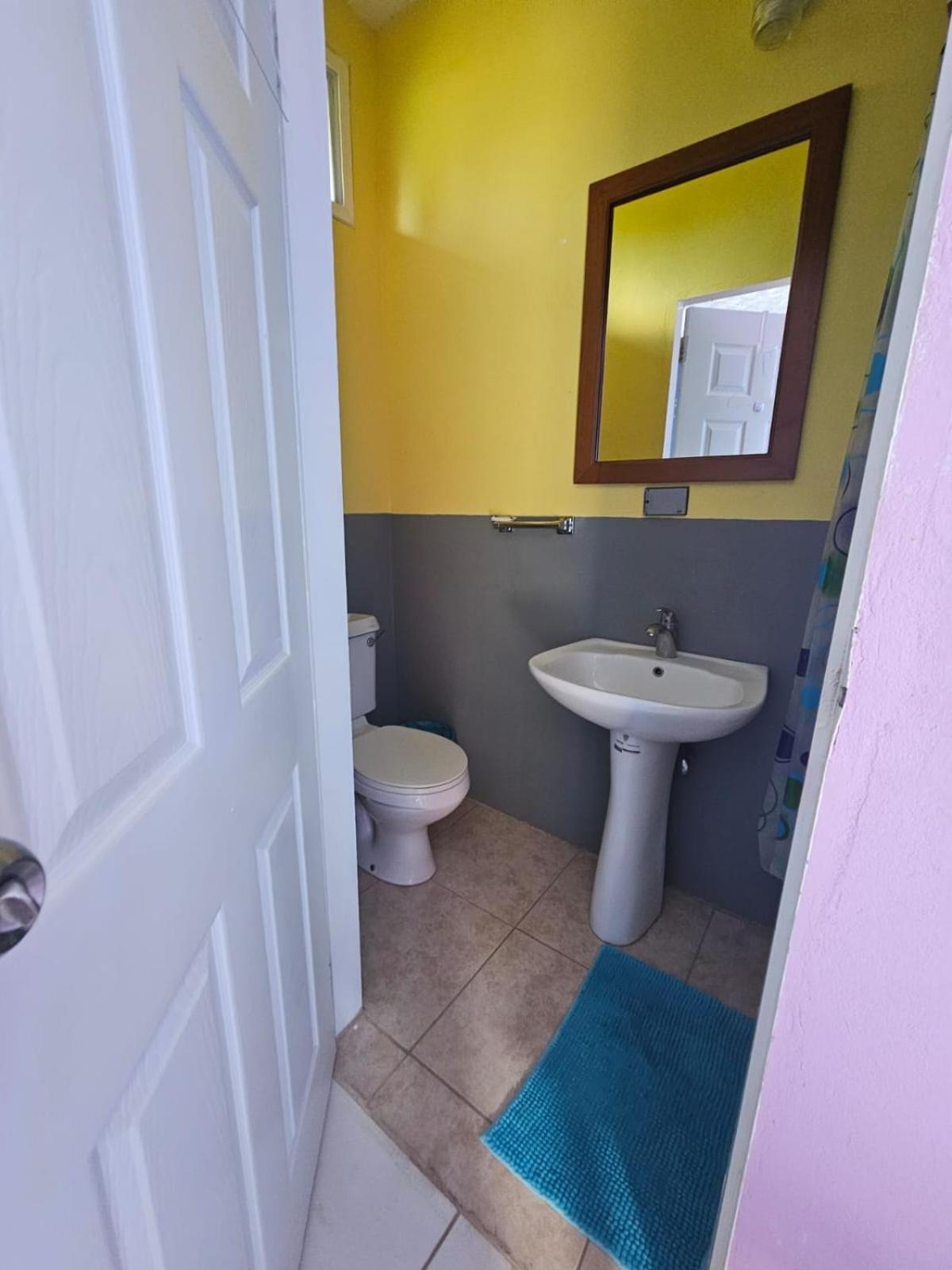 Fish Tobago Guesthouse Or Joy And Brandon Guesthouse Buccoo Bilik gambar