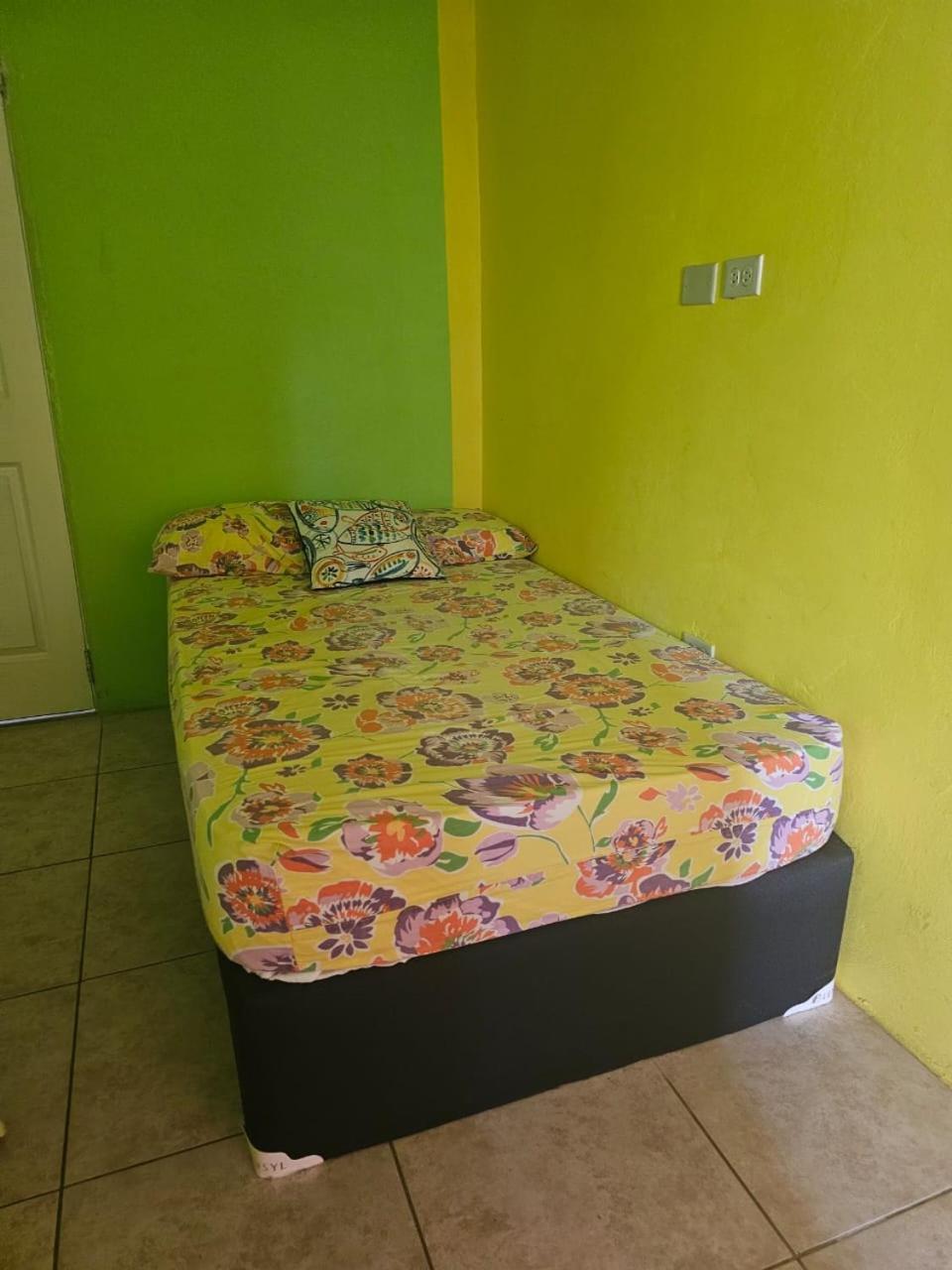 Fish Tobago Guesthouse Or Joy And Brandon Guesthouse Buccoo Bilik gambar